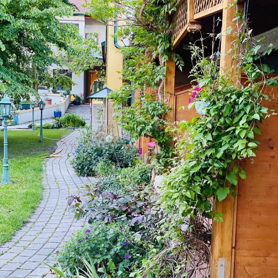 Pension Gartner Wallern im Burgenland Exterior photo